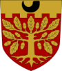 Salon vaakuna